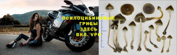 метамфетамин Богданович
