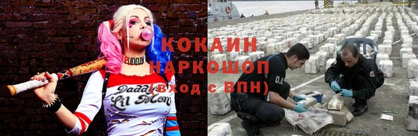 крисы Нея