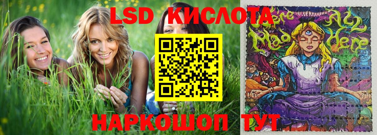 Псилоцибиновые грибы Менделеевск