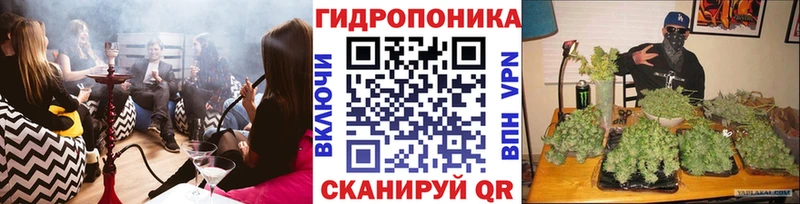 Конопля планчик Менделеевск